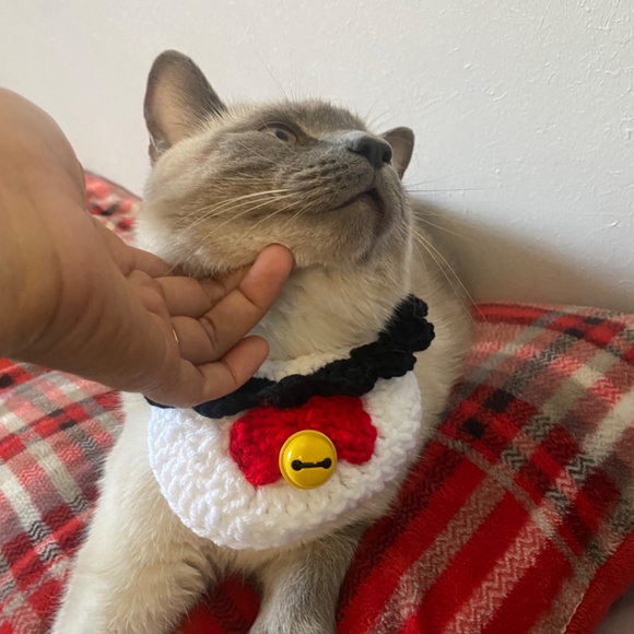 Cat collar - Picture 2 of 2